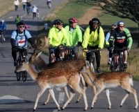 Deer first in Richmond Park