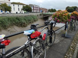 Bike enjoying the view in Bridgewater