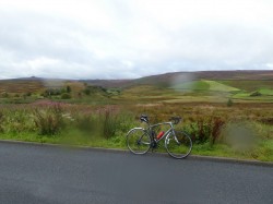 Up on the moors - it was all up today