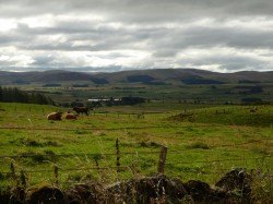 Simply beautiful to cycle through