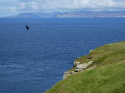 Dunnet head - well worth the extra 10 miles and 300 feet of climb